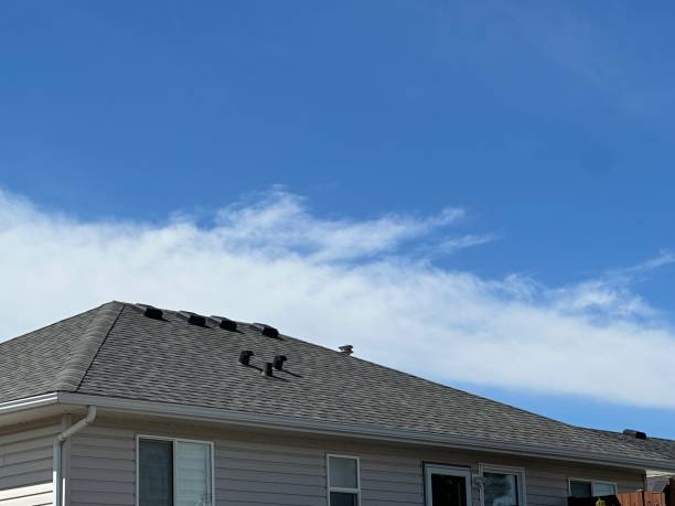 Steel Roofing in Norman Park, GA